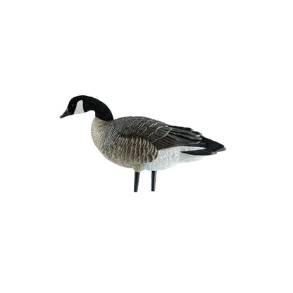 Avian-X AXP Lessers Active Pack single feeder Canada goose decoy side profile on white background