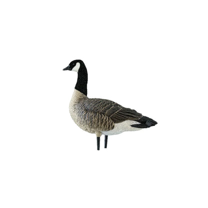 Avian-X AXP Lessers Active Pack single upright sentry Canada goose decoy side view on white
