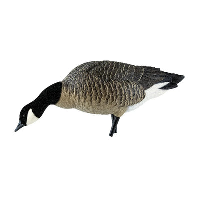 Avian-X AXP Lessers feeder decoy with head down grazing pose, facing left