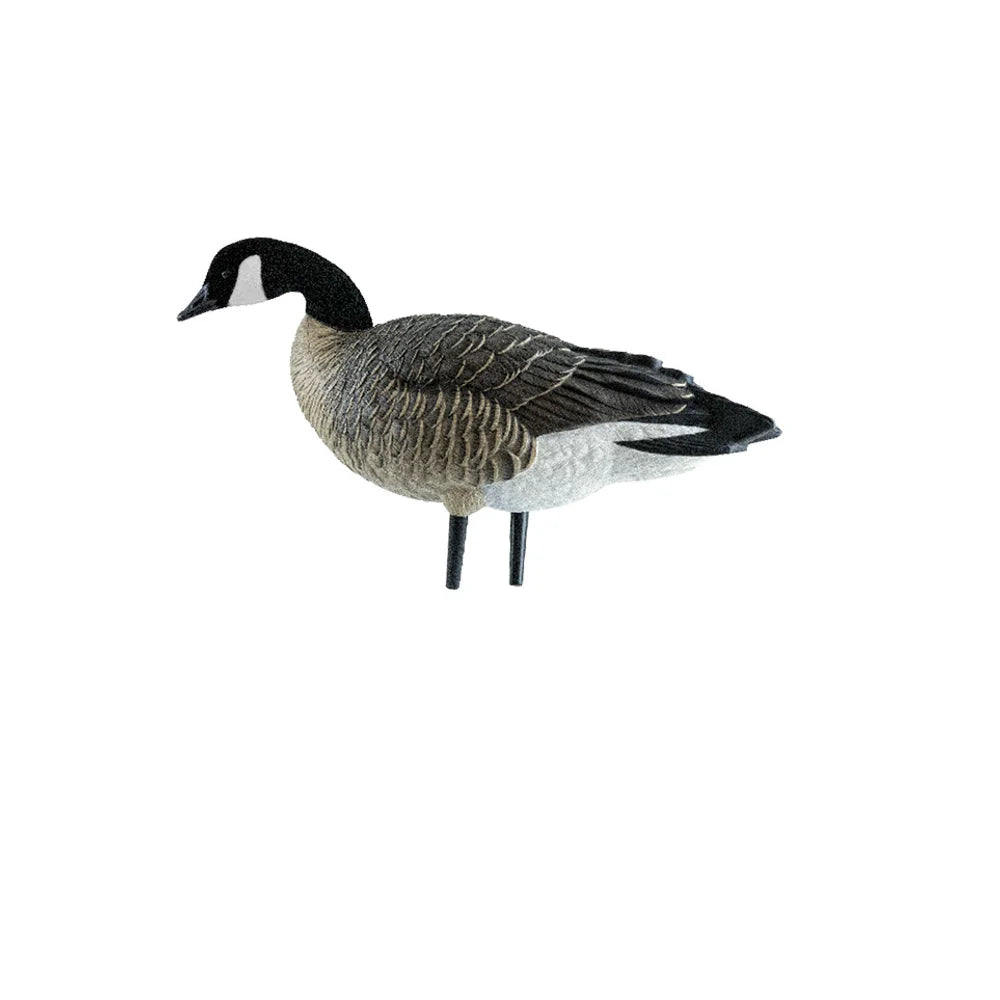 Avian-X AXP Lessers decoy relaxed walker pose, side profile showing head turned forward