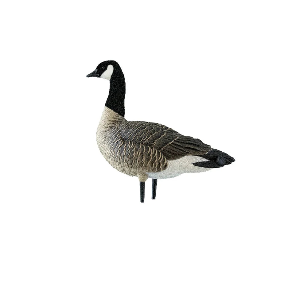 Avian-X AXP Lessers sentry decoy in upright watchful pose, side profile on white