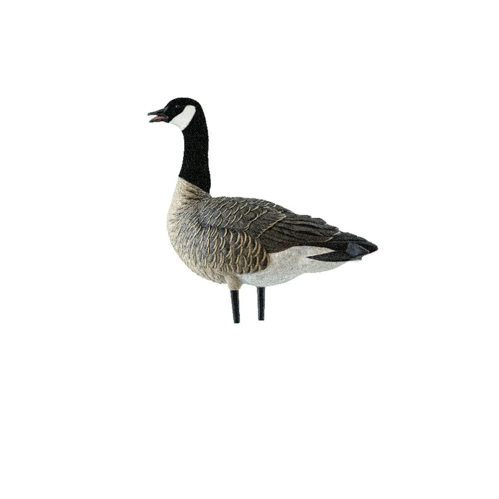 Avian-X AXP Lessers decoy single upright alert pose, left side profile on white