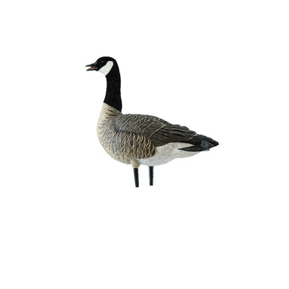 Avian-X AXP Lessers decoy single upright alert pose, left side profile on white