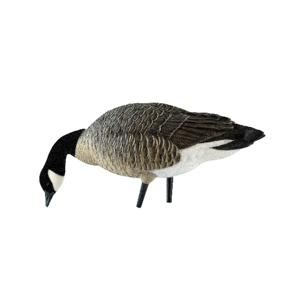 Avian-X AXP Lessers single head-down feeder goose decoy side view