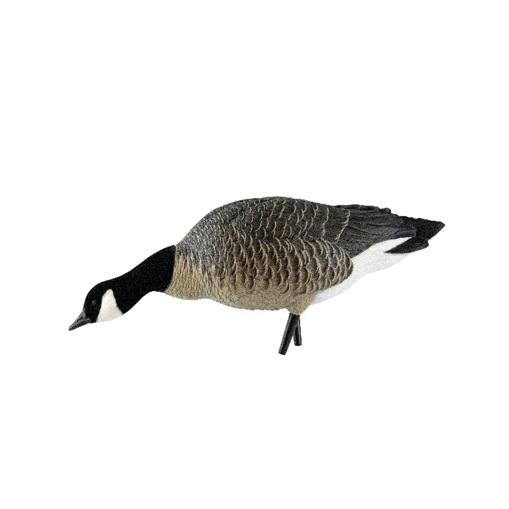 Avian-X AXP Lessers single low feeder pose goose decoy side profile