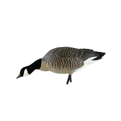 Avian-X AXP Lessers single low feeder pose goose decoy side profile