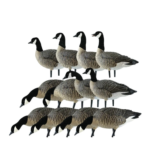 Avian-X AXP Lessers Outfitter Pack full 12-decoy flock arranged in three rows on white background