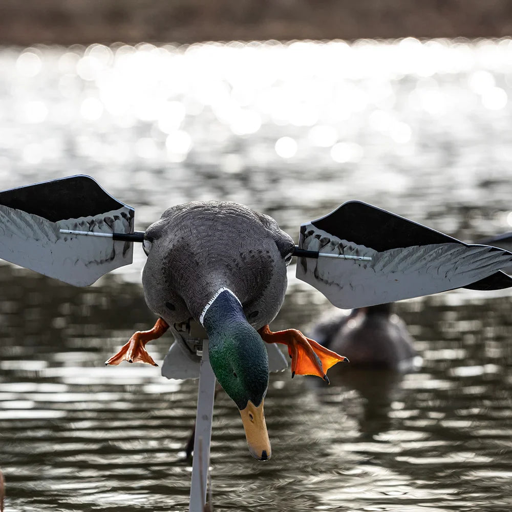 Avian-X Powerflight Mallard spinning wing decoy front view in use over water