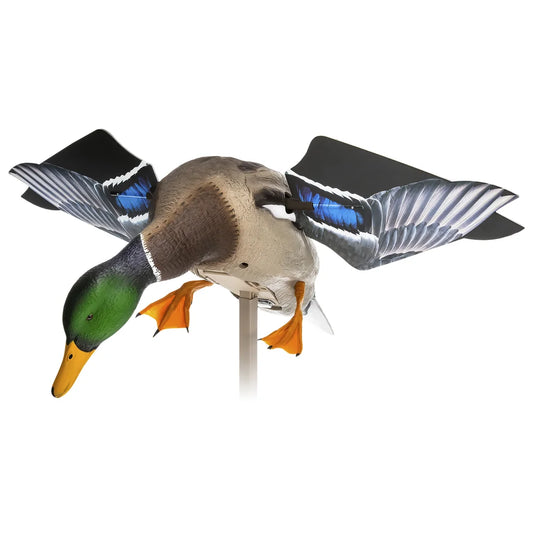 Avian-X Powerflight Mallard decoy three-quarter studio view with wings extended