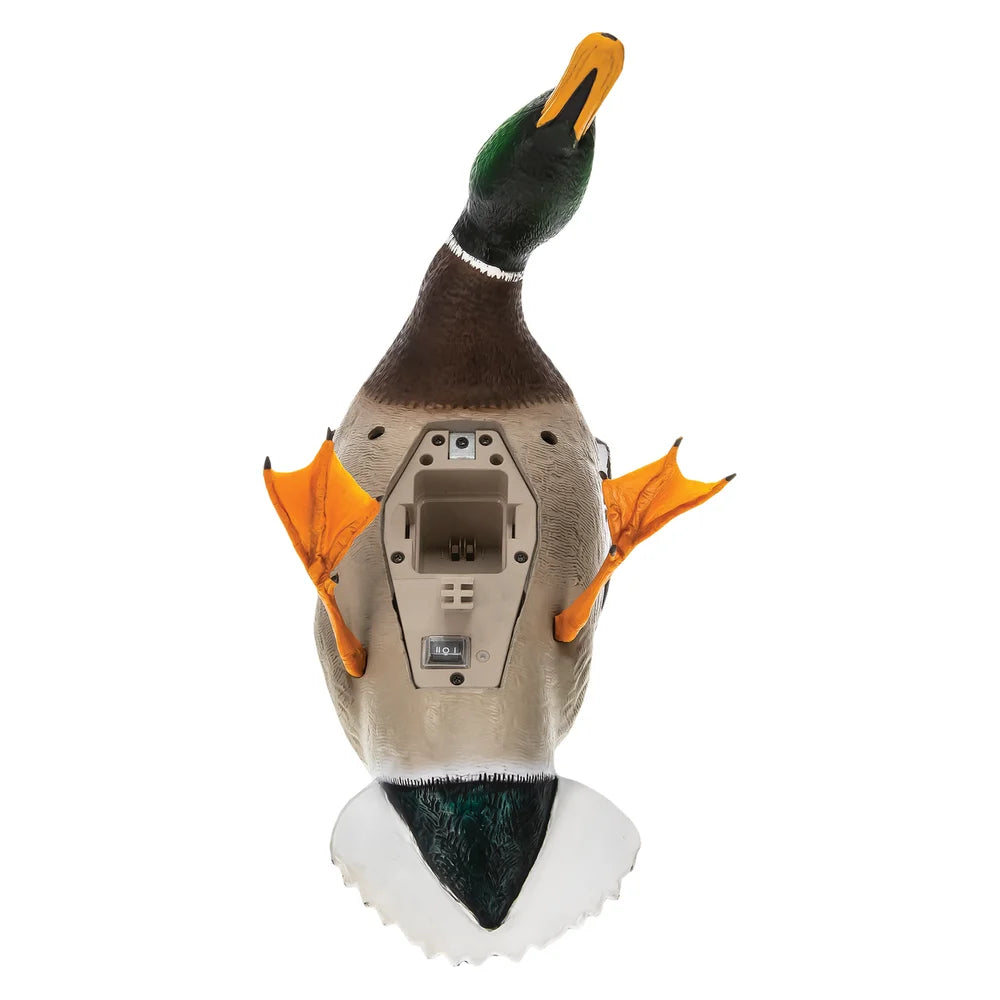Avian-X Powerflight Mallard decoy underside showing battery compartment and on/off switch