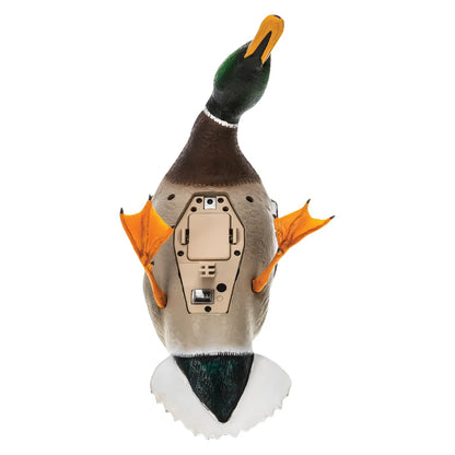 Avian-X Powerflight Smart Motion Mallard decoy underside showing battery compartment and switch