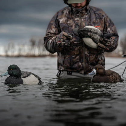 Hunter rigging Avian-X TopFlight Bluebills drake and hen decoys floating on cold water