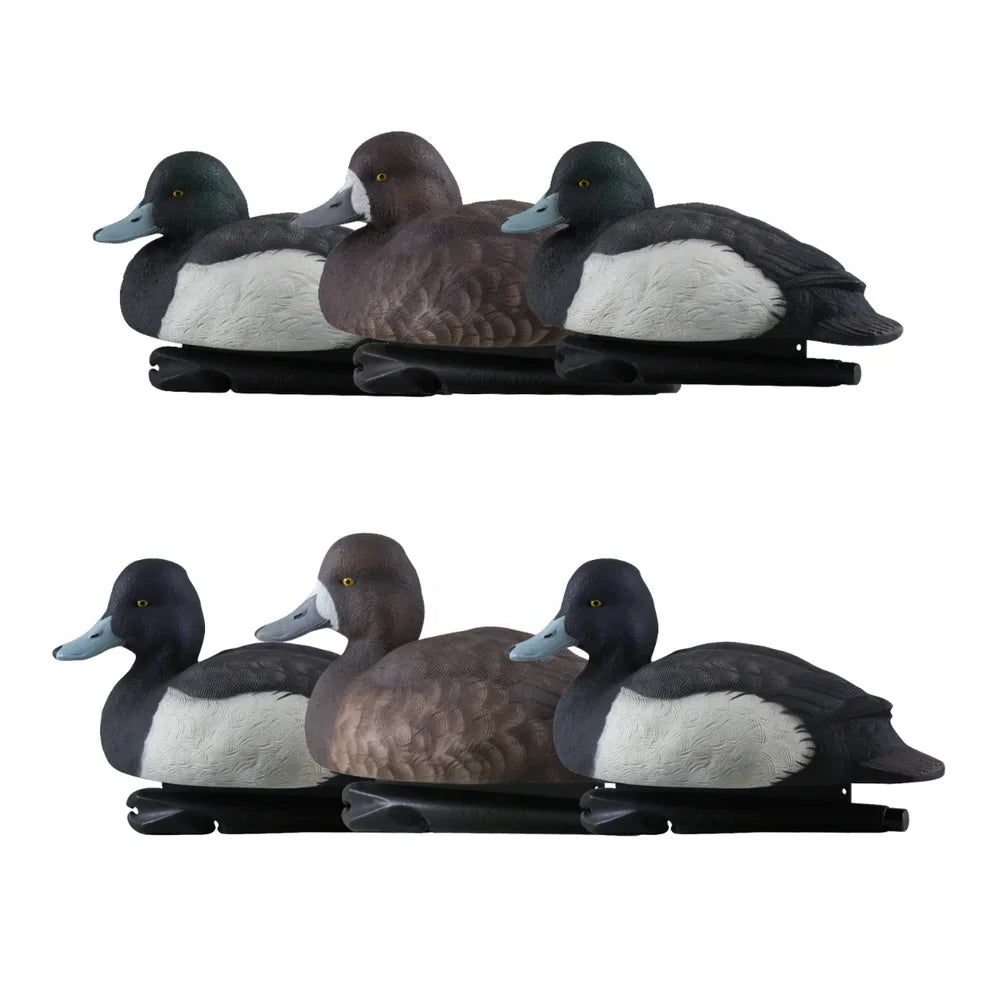 Avian-X TopFlight Bluebills 6-pack floating decoys showing drakes and hen side profiles on white