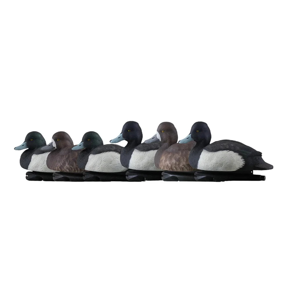 Avian-X TopFlight Bluebills full 6-decoy flock lined up in side profile on white background