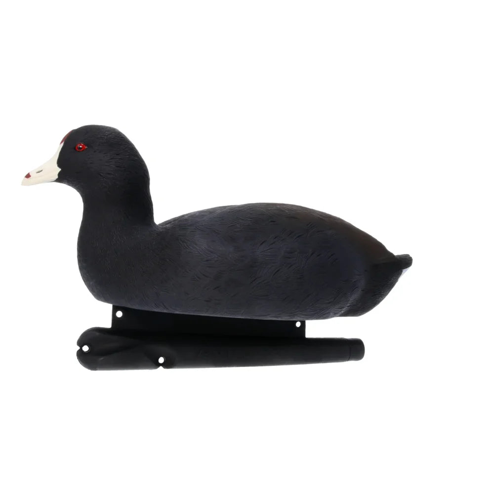 Avian-X TopFlight Coot floating decoy single unit, left side profile on white background