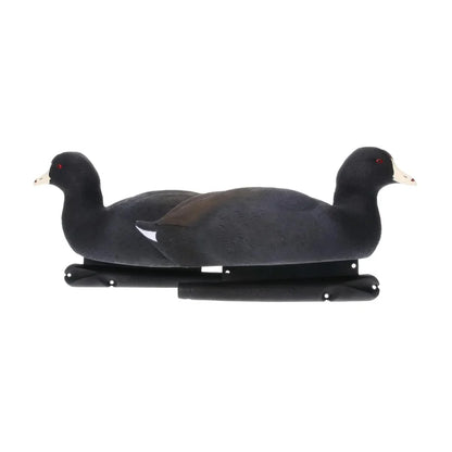 Avian-X TopFlight Coot floating decoys, two units shown head-to-head on white background