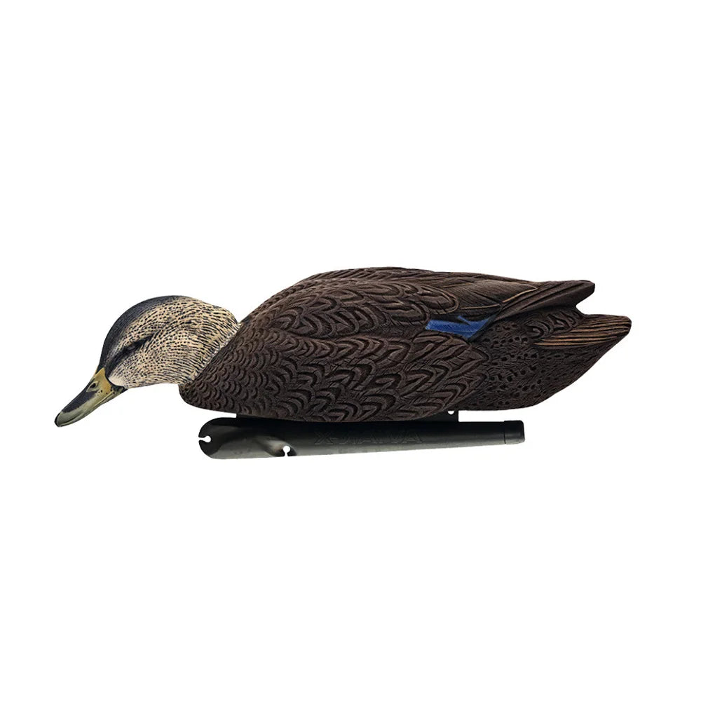 Avian-X TOPFLIGHT flocked black duck floating decoy in feeder pose, side view with keel