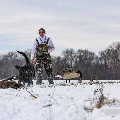 Avian-X Topflight Honkers goose decoys in snowy field with hunter and black retriever dog
