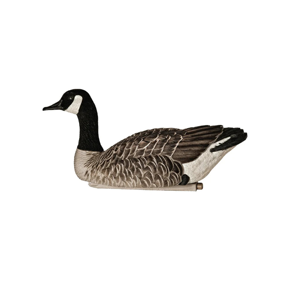 Avian-X Topflight Honkers single floating Canada goose decoy left side profile on white