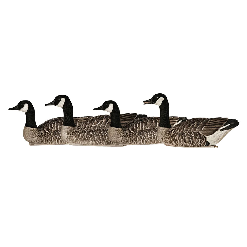Avian-X Topflight Honkers four floating goose decoys lined up in side profile on white