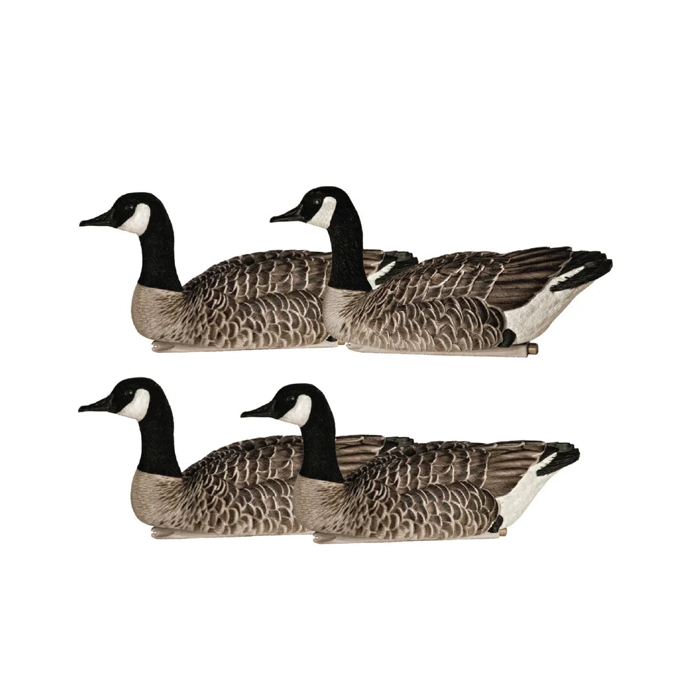 Avian-X Topflight Honkers 4-pack floating Canada goose decoys studio shot on white background