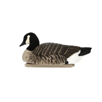 Avian-X TopFlight Lessers single floating Canada goose decoy, left side profile on white