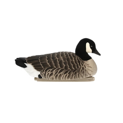 Avian-X TopFlight Lessers single floating Canada goose decoy in resting pose, right side on white