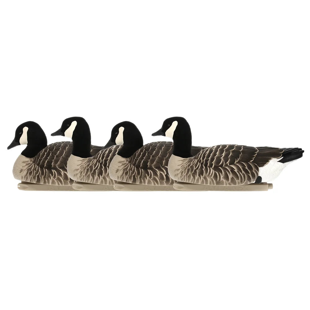 Avian-X TopFlight Lessers four floating goose decoys lined up in side profile on white