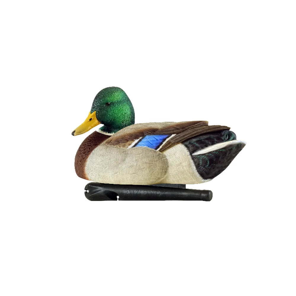 Avian-X TopFlight Mallard drake preener decoy, side profile studio shot on white background