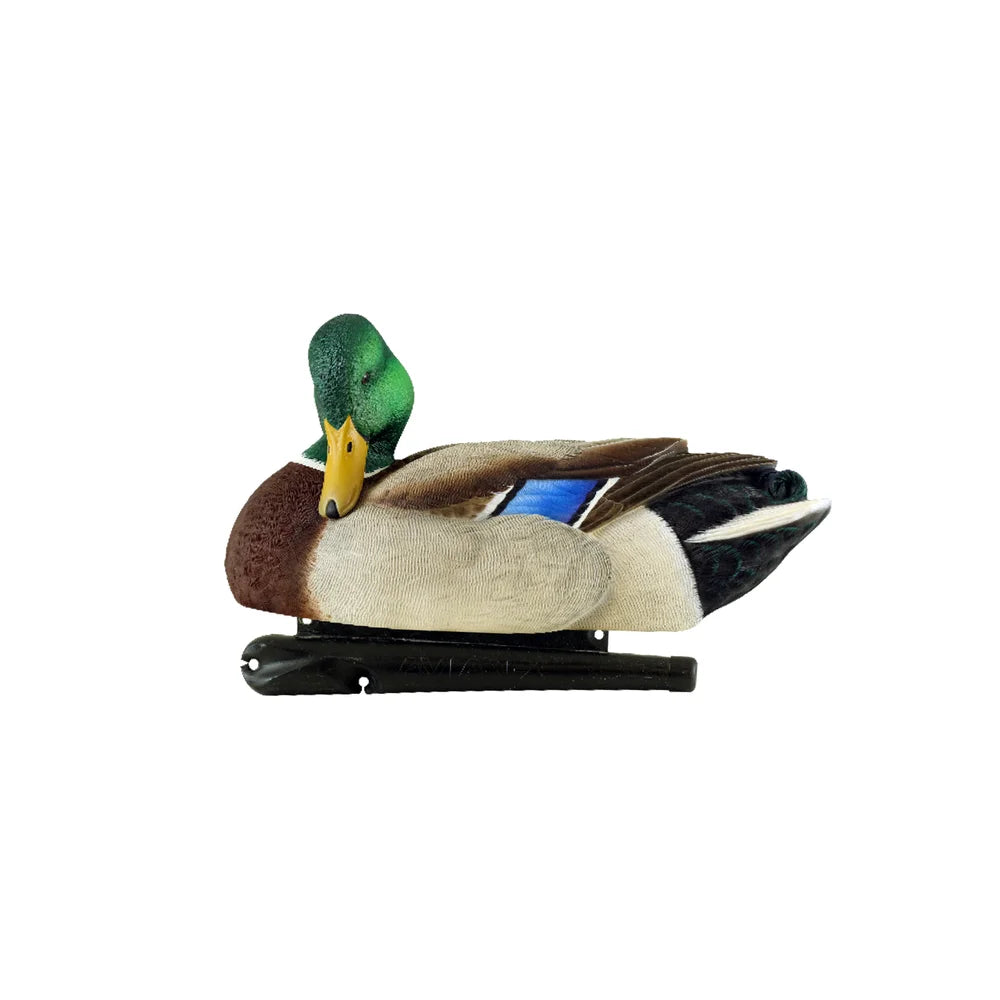 Avian-X TopFlight Mallard drake resting decoy, side profile studio shot on white background
