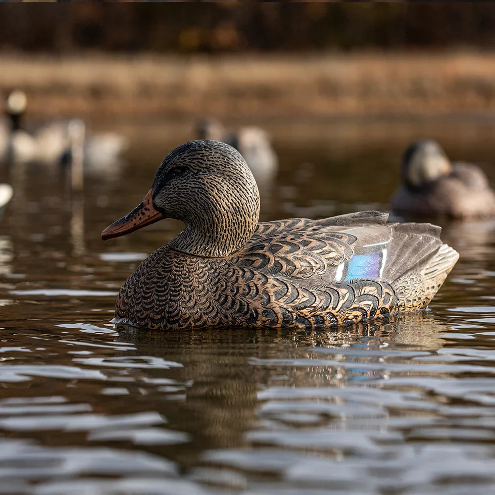 Avian-X TopFlight Mallard hen decoy floating on water, side profile lifestyle shot in marsh