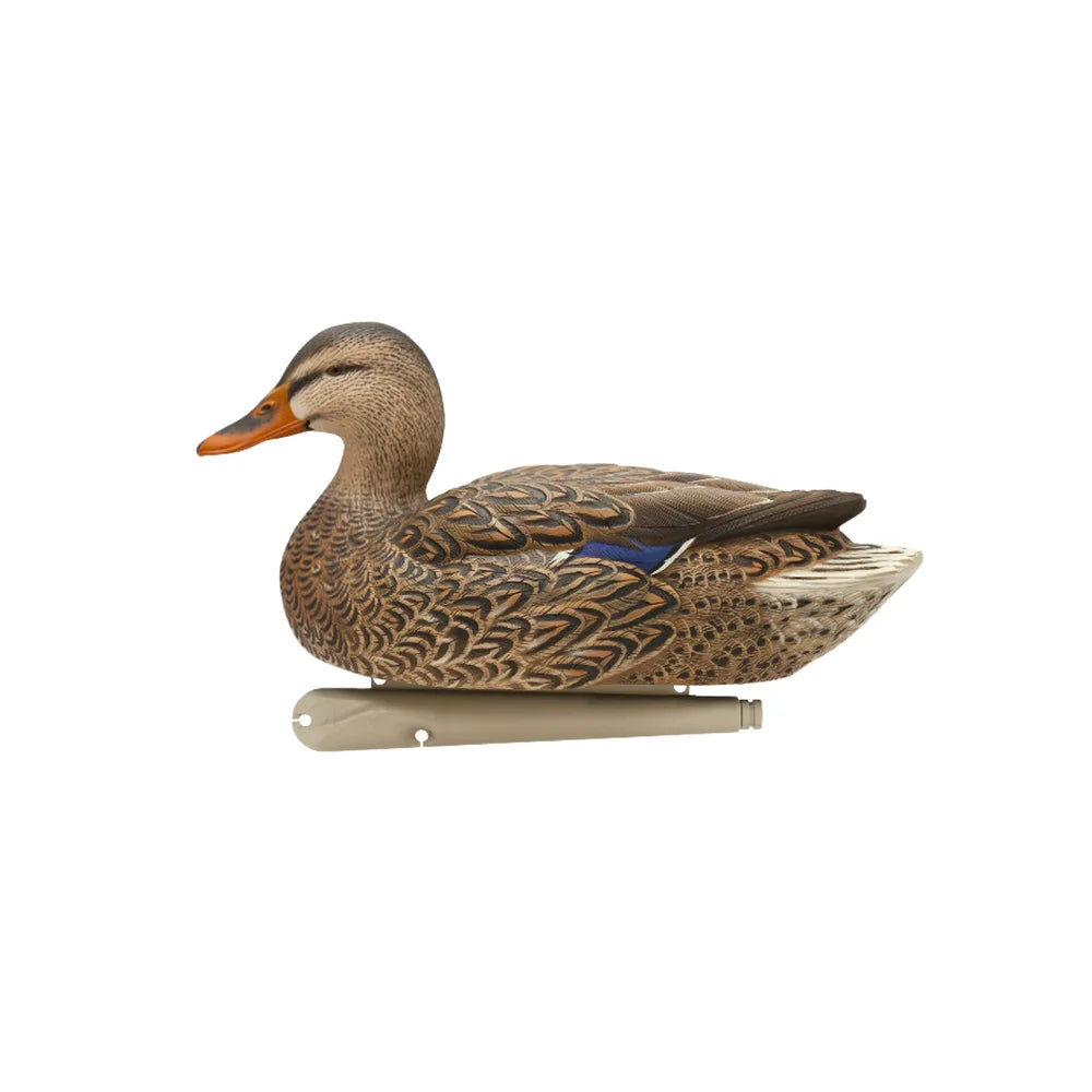 Avian-X TopFlight Mallard hen upright resting decoy, side profile studio shot on white background