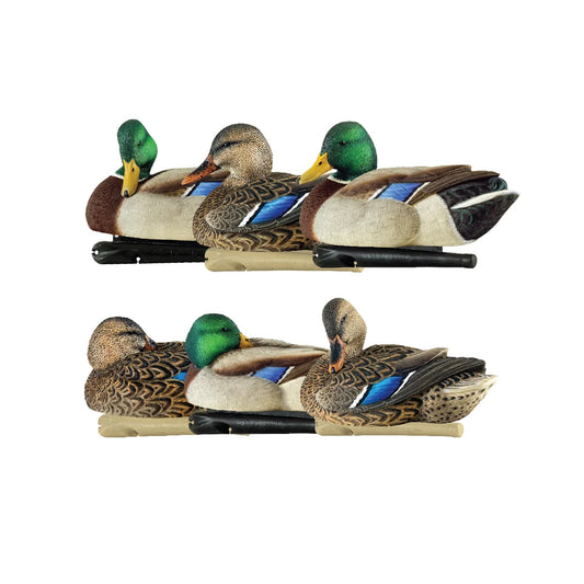 Avian-X TopFlight Mallards 6-pack floating decoys, full group studio shot on white background