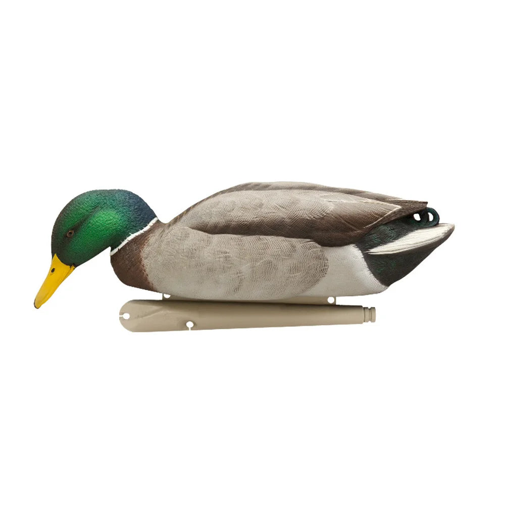 Avian-X TopFlight Mallards Backwater Pack drake resting decoy side profile on white background