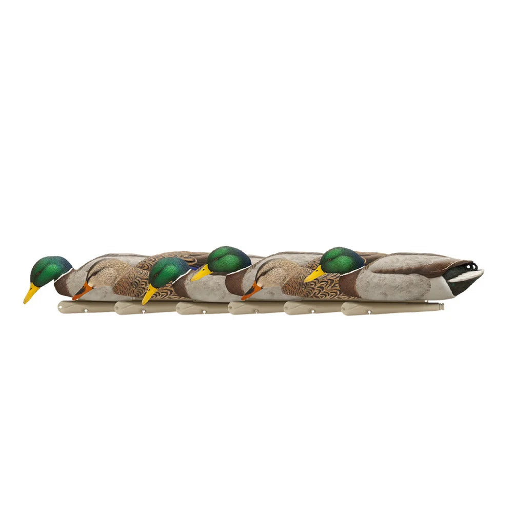 Avian-X TopFlight Mallards Backwater Pack drake decoys lined up in side profile on white background