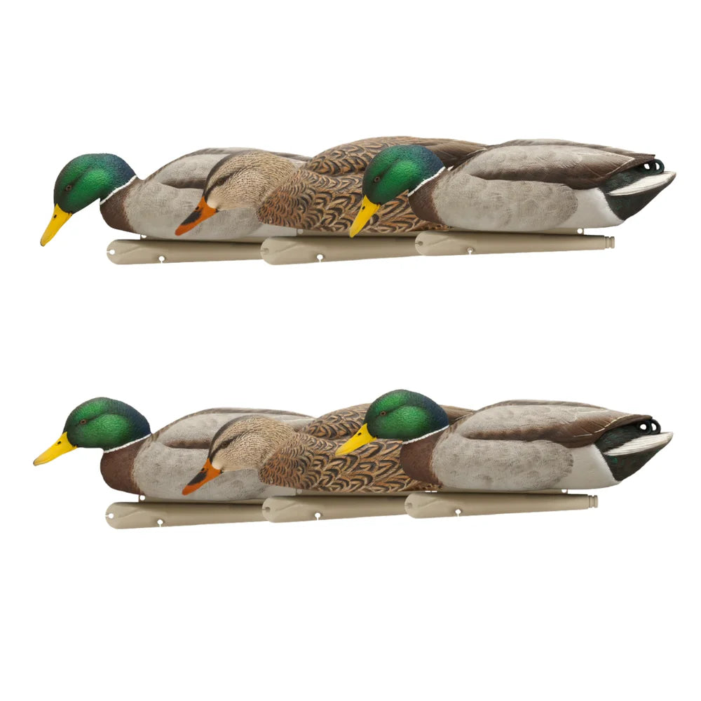 Waterfowl