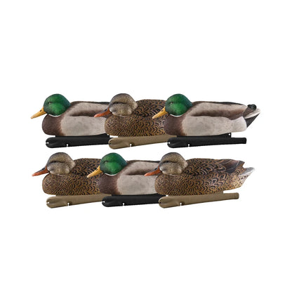 Avian-X TopFlight Mallards early season 6-pack floating decoys studio shot on white