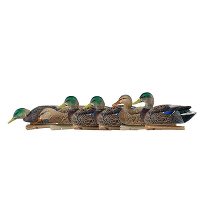 Avian-X TopFlight Mallards early season 6 decoy side profile lineup on white background