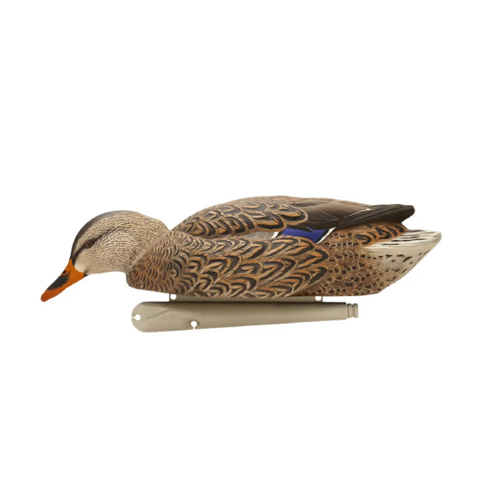 Avian-X TopFlight Mallards early season hen feeder floating decoy side view on white