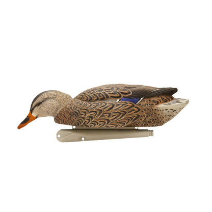 Avian-X TopFlight Mallards early season hen feeder floating decoy side view on white
