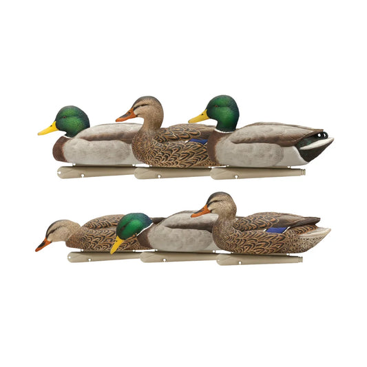 Avian-X TopFlight Mallards Fusion Pack of 6 floating decoys, full set studio shot on white