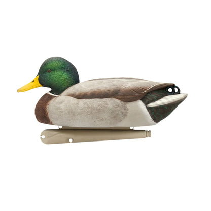 Avian-X TopFlight Mallards Fusion Pack drake feeder decoy side profile with keel on white