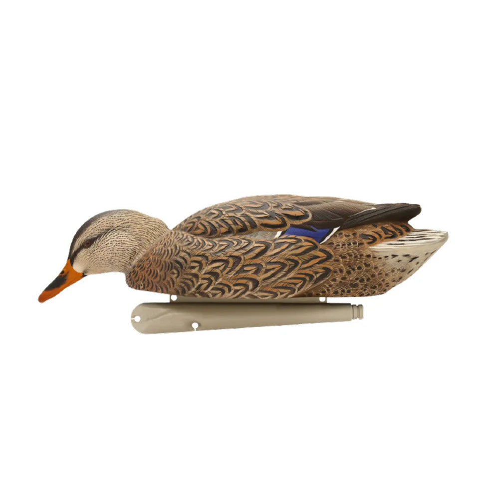 Avian-X TopFlight Mallards Fusion Pack hen feeder decoy side view with keel