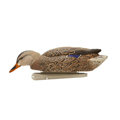 Avian-X TopFlight Mallards Fusion Pack hen feeder decoy side view with keel