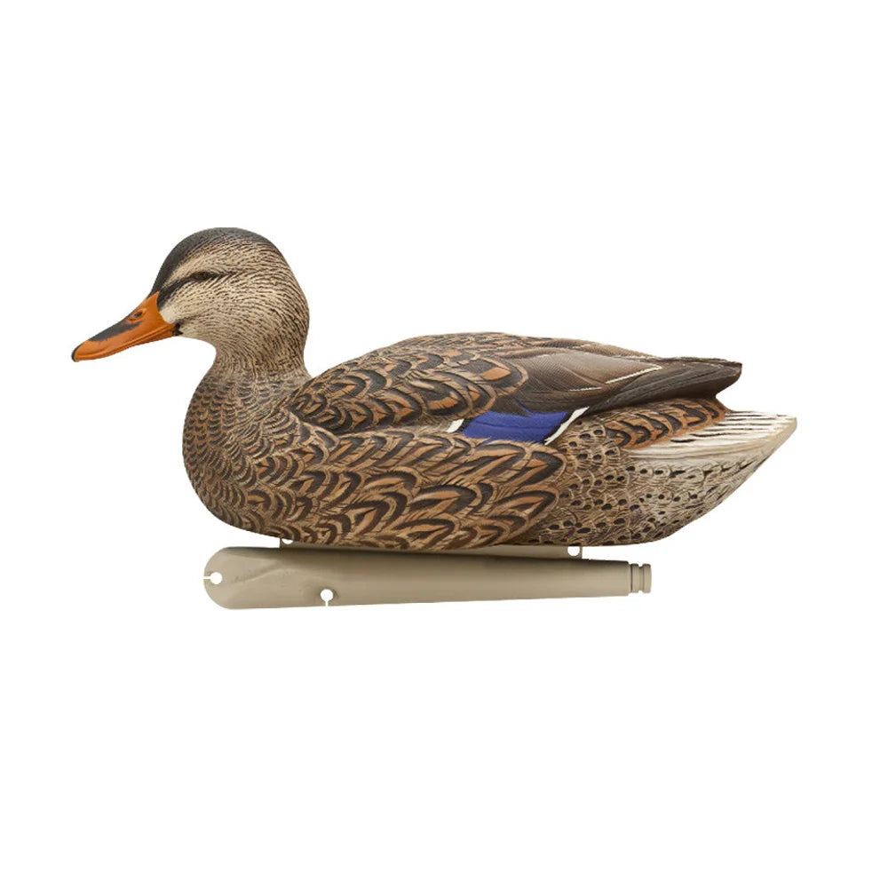 Avian-X TopFlight Mallards Fusion Pack hen resting decoy side profile with keel on white