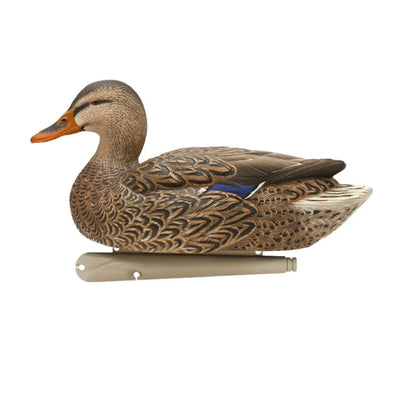Avian-X TopFlight Mallards Fusion Pack hen upright decoy side profile with keel on white