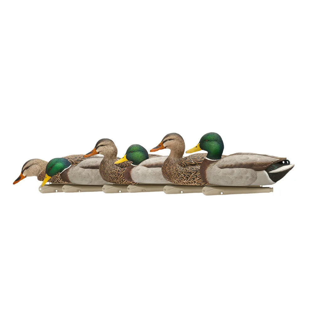 Avian-X TopFlight Mallards Fusion Pack six decoys lined up in side profile on white background