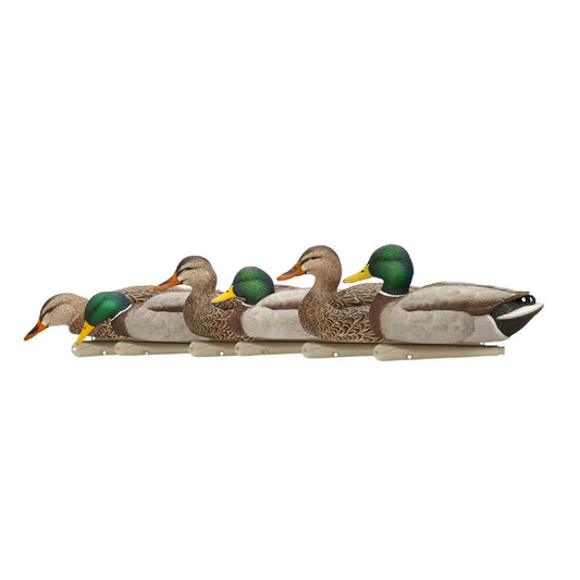 Avian-X TopFlight Mallards Fusion Pack six decoys lined up in side profile on white background