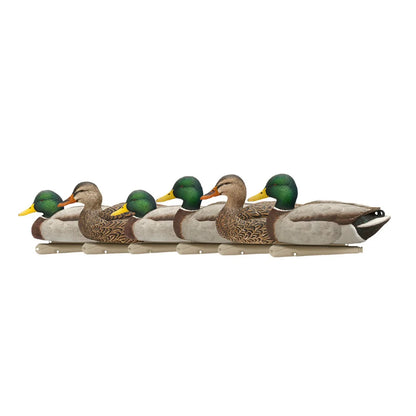 Avian-X TopFlight Mallard floating decoys lined up in side profile on white background