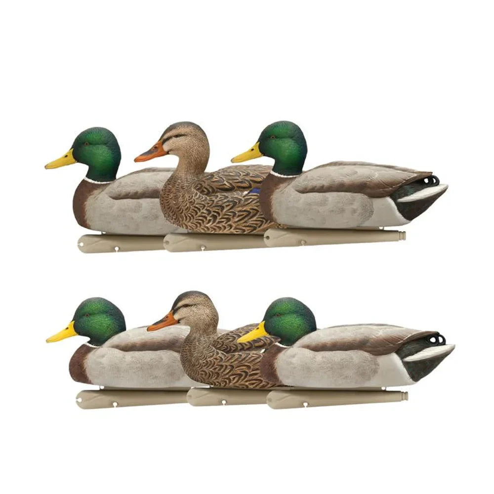 Avian-X TopFlight Mallards Open Water 6-pack floating decoys studio shot on white